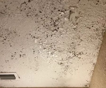 MacDonald Water Damage Restoration Mesa AZ