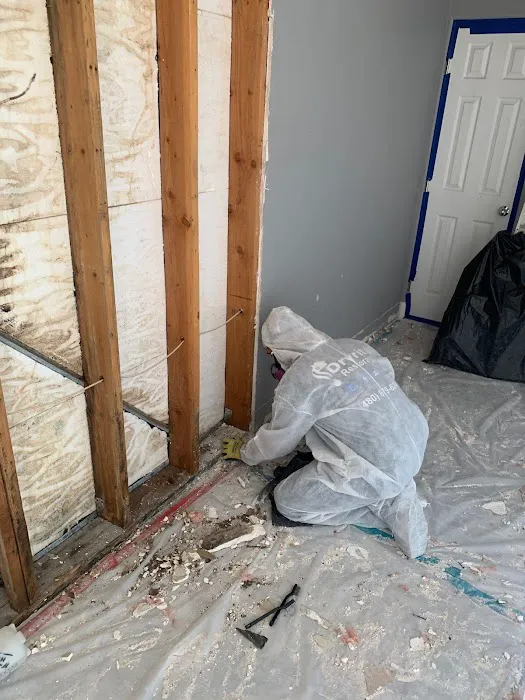 Dryrite Restoration LLC Picture 5