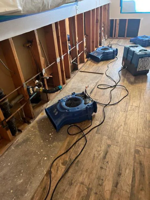 Dryrite Restoration LLC Picture 4