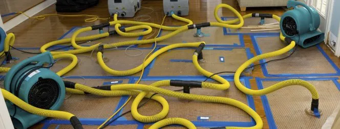 Phoenix Flood and Fire, LLC Picture 1