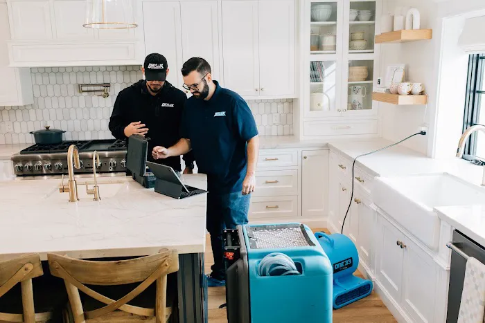 Drylux Restoration Picture 8