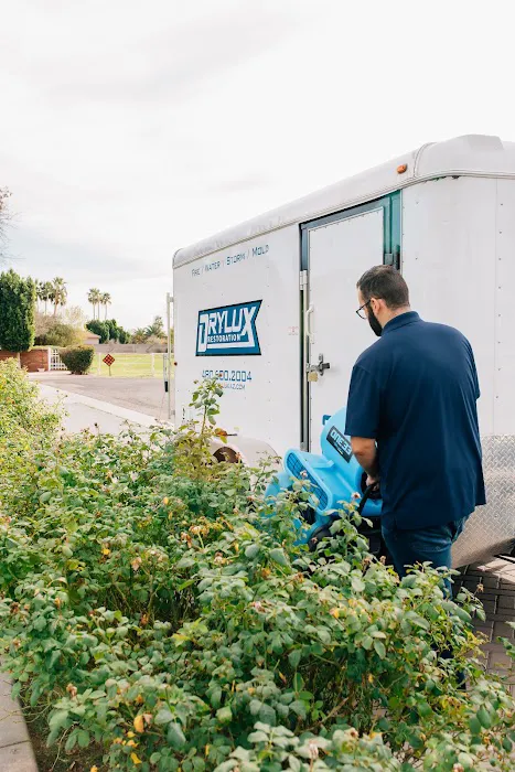 Drylux Restoration Picture 4