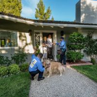 The Twin Home Experts ico