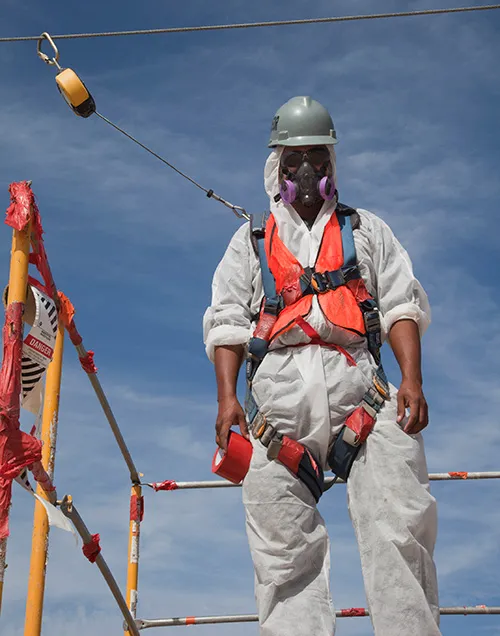 BELFOR Environmental Picture 3