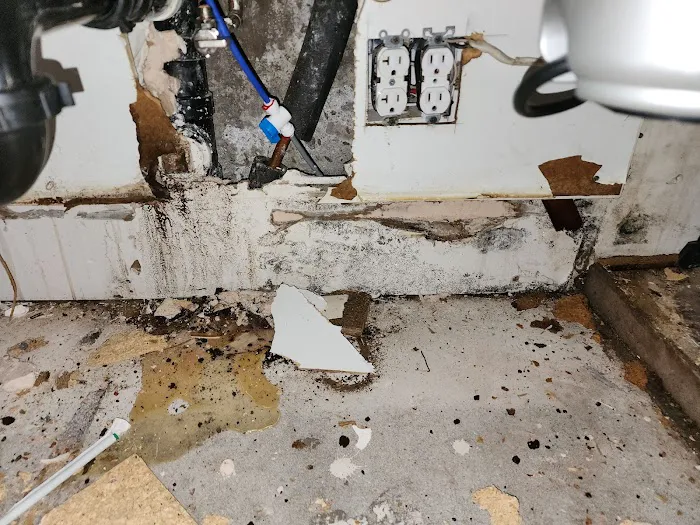 Eco-Green of Arizona Picture 8