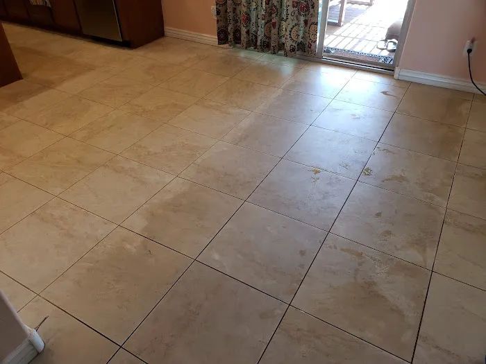 Eco-Green of Arizona Picture 4