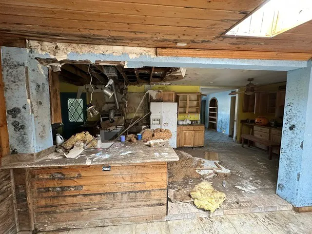 Sunrise Restoration & Consulting Picture 3