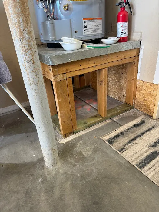 Sunrise Restoration & Consulting Picture 7