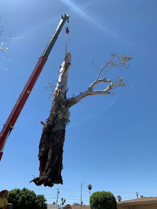 SERVPRO of Sun City South Picture 3