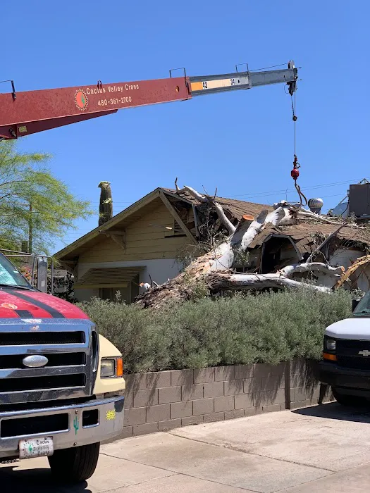 SERVPRO of Sun City South Picture 7