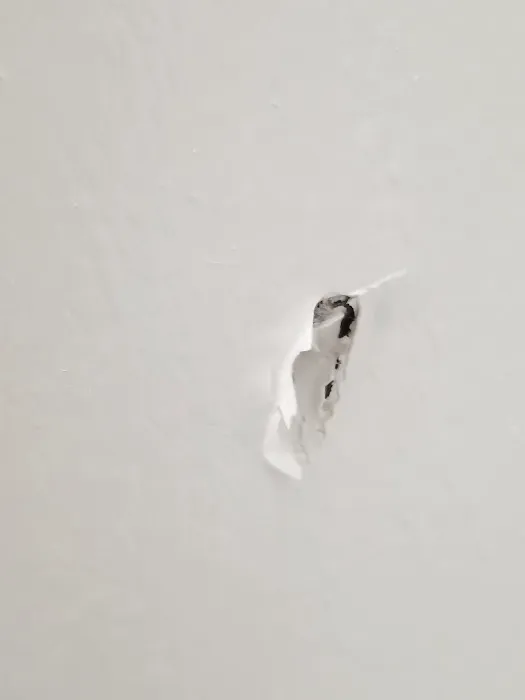 HD Restoration Picture 3