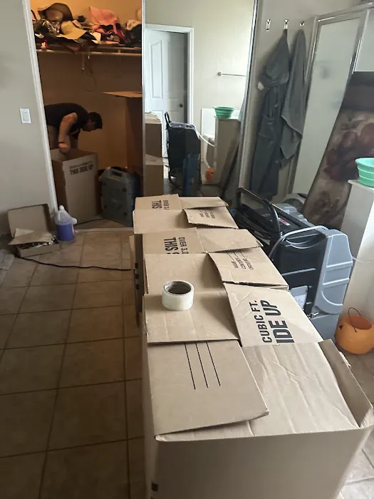 Cardinal Clean Picture 6