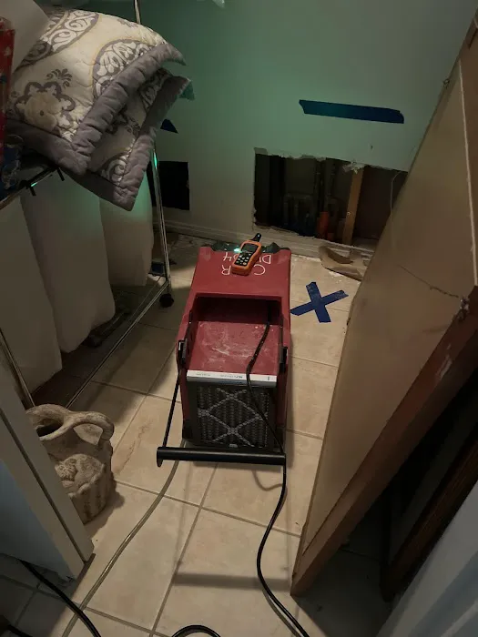 Cactus Wren Restoration Picture 2