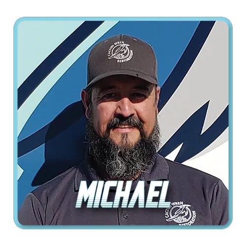 Cactus Wren Restoration Picture 5