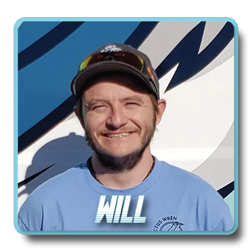 Cactus Wren Restoration Picture 4