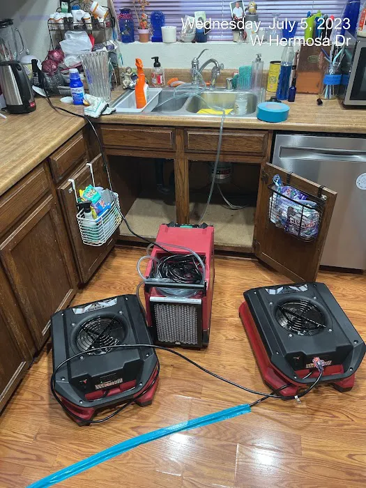 Cactus Wren Restoration Picture 1