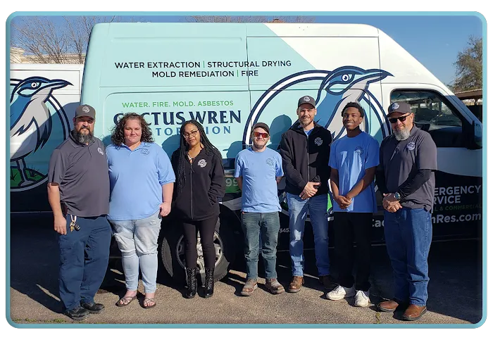 Cactus Wren Restoration Picture 9