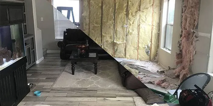 Cactus Wren Restoration Picture 3