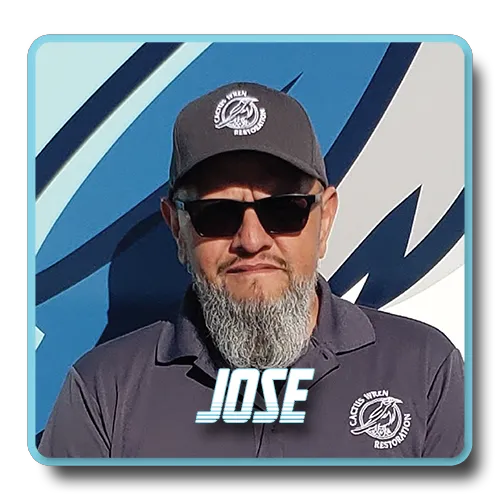 Cactus Wren Restoration Picture 8