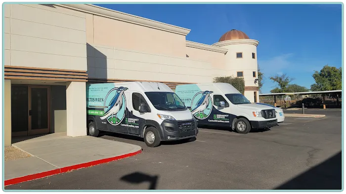 Cactus Wren Restoration Picture 7