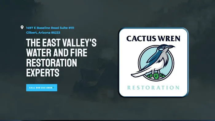 Cactus Wren Restoration Picture 10