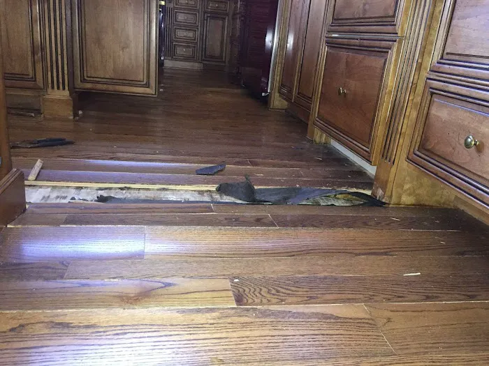 Connected Restoration Picture 3