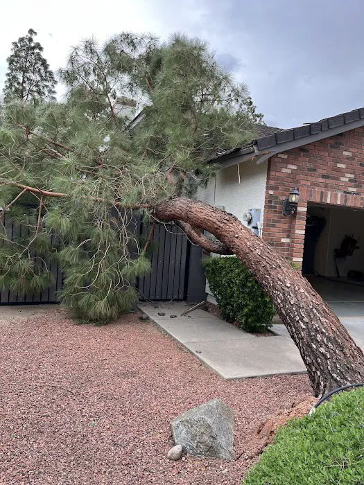 ServiceMaster Restoration by Cadiente Picture 3