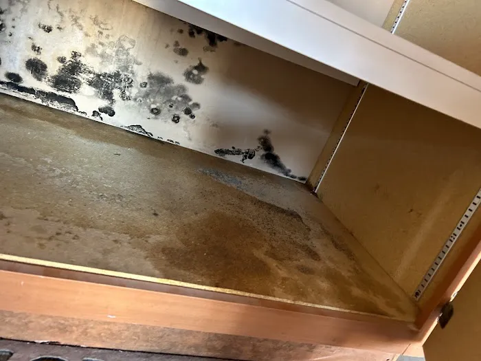 Disaster Services Gilbert Picture 4