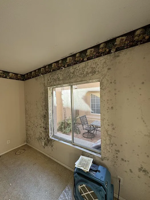 AMP Restoration & Construction Picture 8