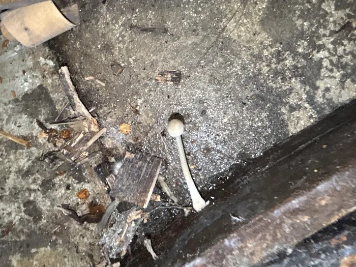 Gama Services Picture 8