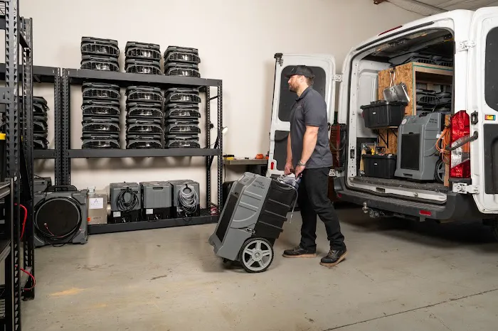 Orange Tree Restoration Picture 3