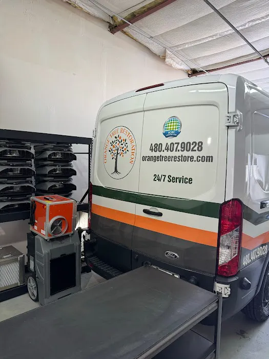 Orange Tree Restoration Picture 2