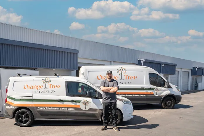 Orange Tree Restoration Picture 4