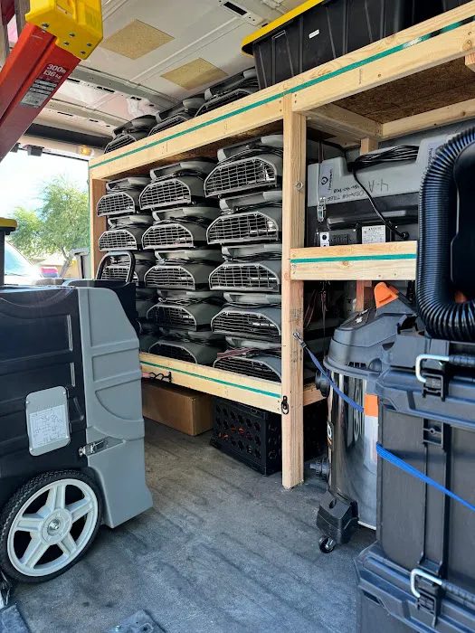 Orange Tree Restoration Picture 7