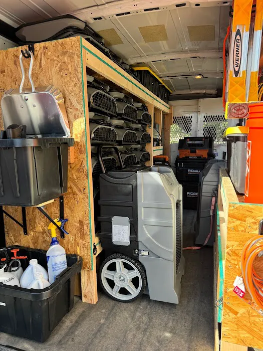 Orange Tree Restoration Picture 8