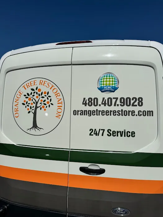 Orange Tree Restoration Picture 6