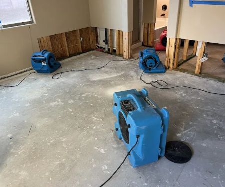 Disaster Services Mesa