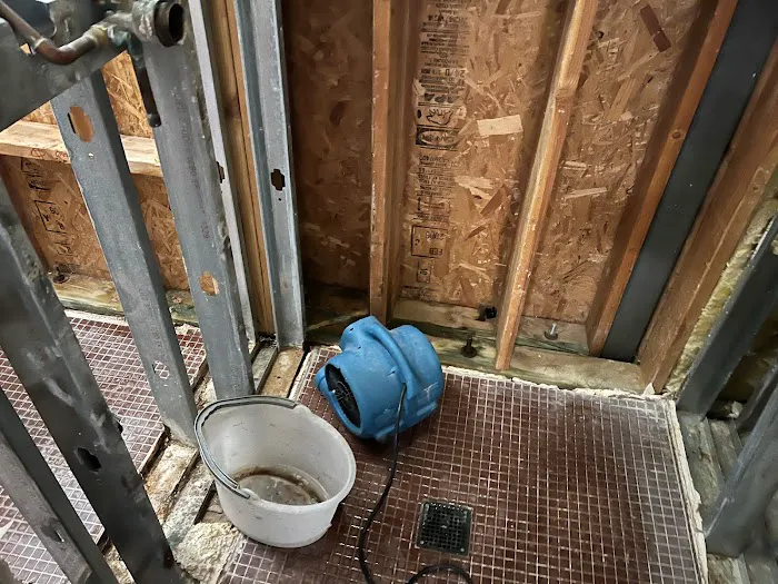 Disaster Services Mesa Picture 7