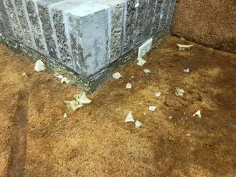 Flow State Restoration Inc. Picture 6