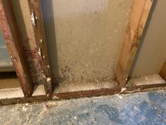 Flow State Restoration Inc. Picture 9