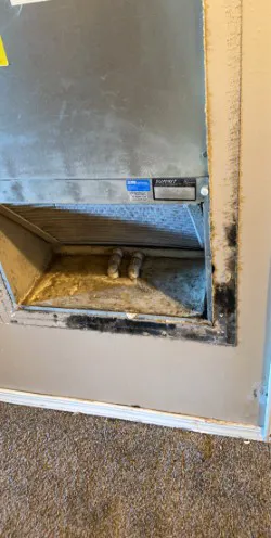 Flow State Restoration Inc. Picture 7