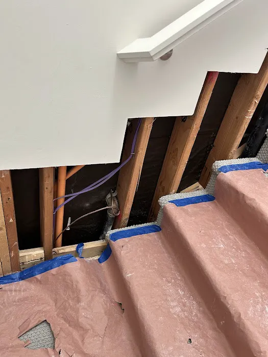 Salt River Restoration Picture 4