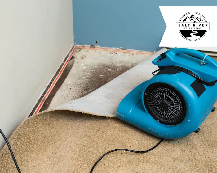 Salt River Restoration Picture 1