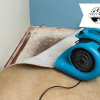 Salt River Restoration ico