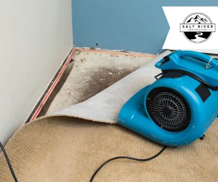 Salt River Restoration