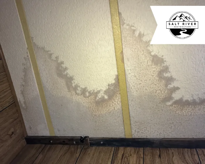 Salt River Restoration Picture 3