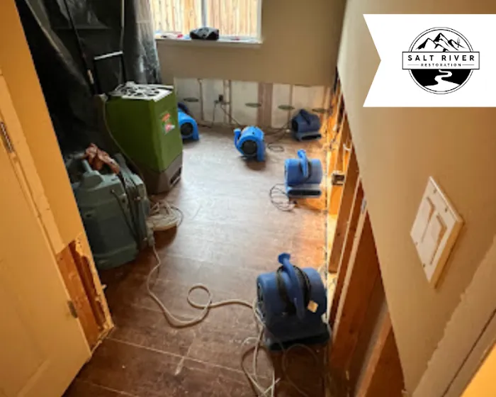 Salt River Restoration Picture 2