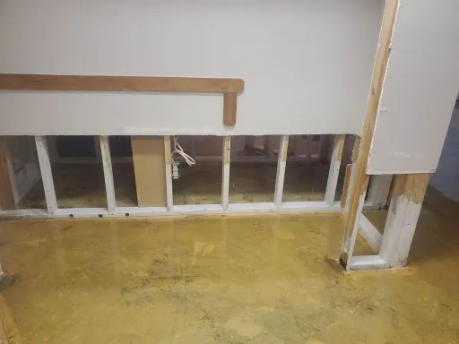 Salt River Restoration Picture 5