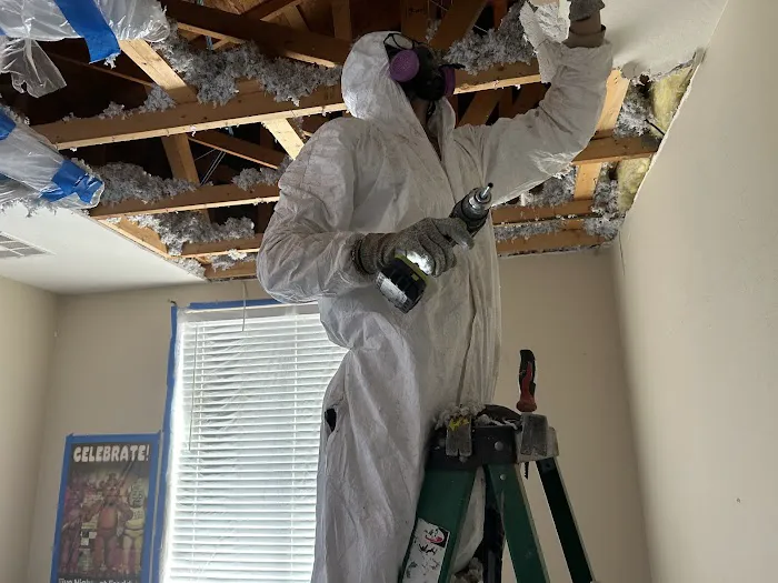 Disaster Services San Tan Valley Picture 3