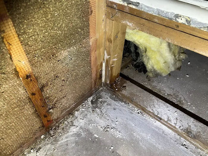 Disaster Services San Tan Valley Picture 5